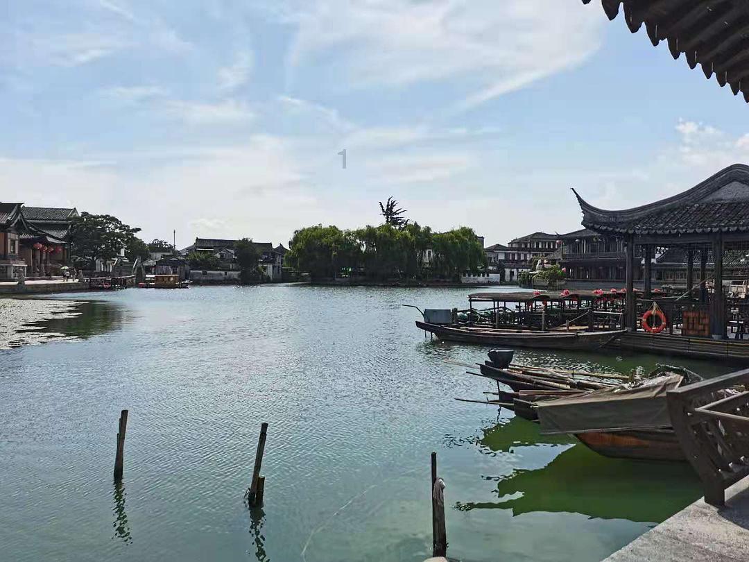 被公司违法辞退该怎么办?-专业问答平台,精准解答你的疑问!